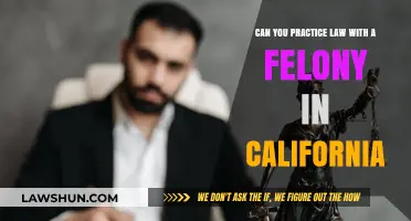 Can Felons Practice Law in California?