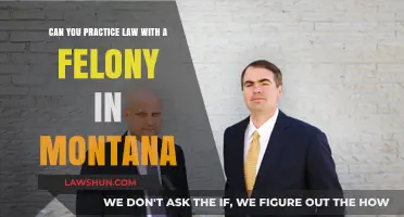 Montana Felony: Can You Still Practice Law?
