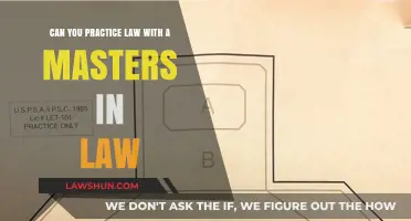 Pursuing a Law Career: Is a Master's Enough?