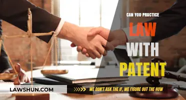 Patent Law: A Unique Legal Career