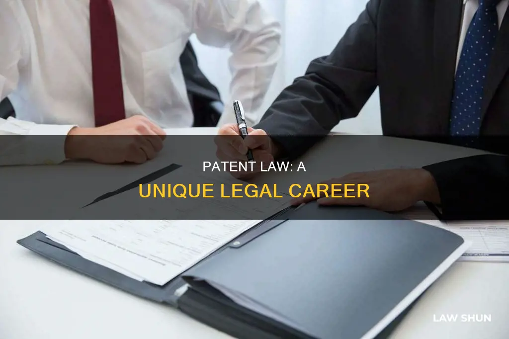 can you practice law with patent