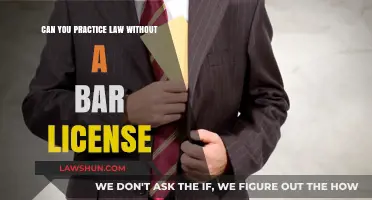 Practicing Law Without a License: Is It Possible?