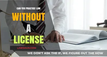 Practicing Law Without a License: Is It Possible?