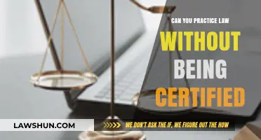 Practicing Law Without a License: Is It Possible?