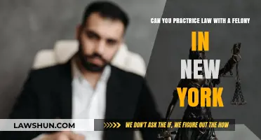 Law Practice with a Felony: New York's Rules