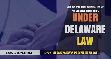 Delaware Law: Can You Stop Customer Solicitation?