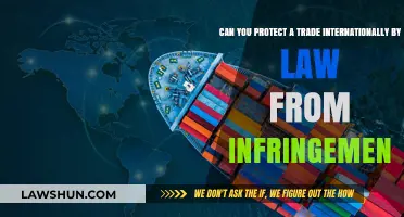 Trade Secrets: International Protection Laws and Your Business