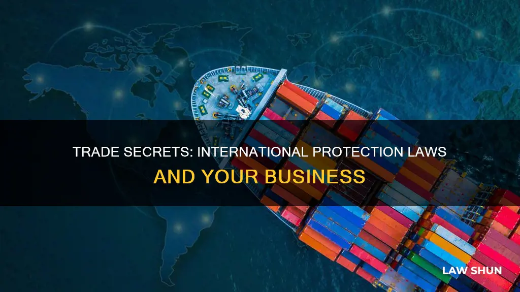 can you protect a trade internationally by law from infringement