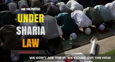 Sharia Law: Protests and Freedom of Speech
