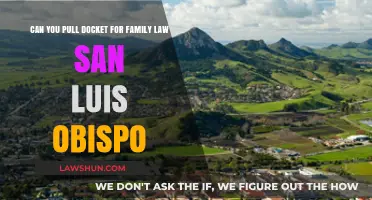 How to Pull Dockets for Family Law in San Luis Obispo