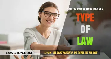 Pursuing Multiple Legal Interests: Is It Possible?