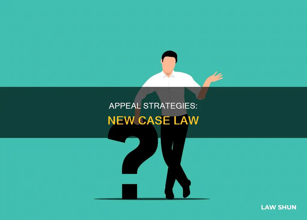 can you raise new case law on appeal