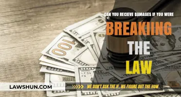 Breaking the Law: Can You Still Claim Damages?