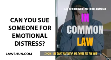 Emotional Damages: Can You Recover in Common Law?