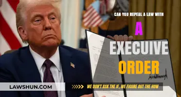 Executive Orders: Can They Repeal Laws?