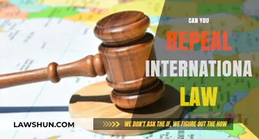 International Law: Can It Be Overturned?