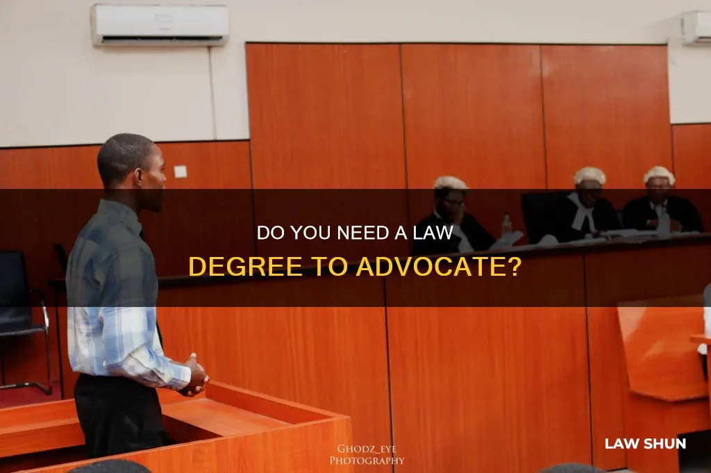can you represent someone in court without a law degree
