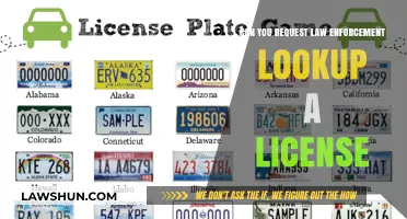 License Lookup: Can Police Help?