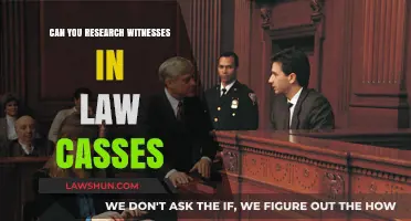 Witness Credibility: Researching Witnesses in Law Cases