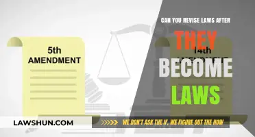 Revisiting Laws: Can They Be Changed?