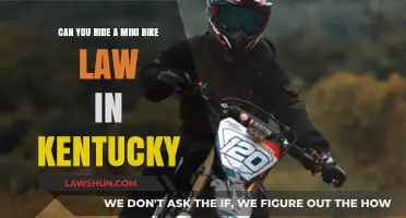 Kentucky's Mini Bike Laws: What You Need to Know