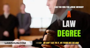 Pursuing Judgeship: Do You Need a Law Degree?