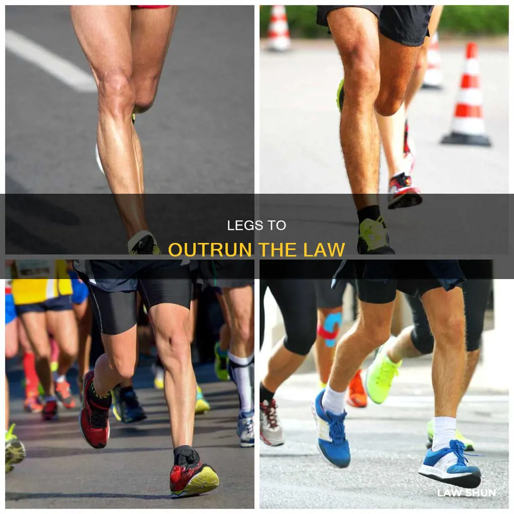 can you run from the law on those legs traduction