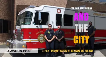 How to Save Lawan and the City