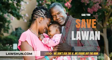 How to Save a Drowning Lawan