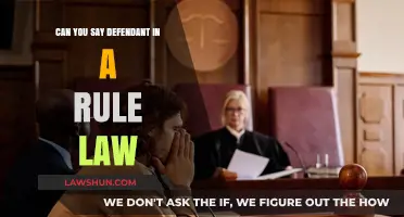 Defendant Rights: Understanding Rule Law