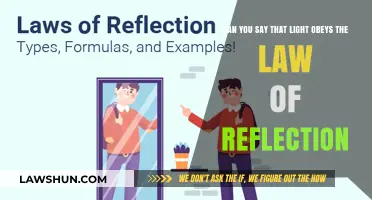 Reflection Law: Does Light Obey?