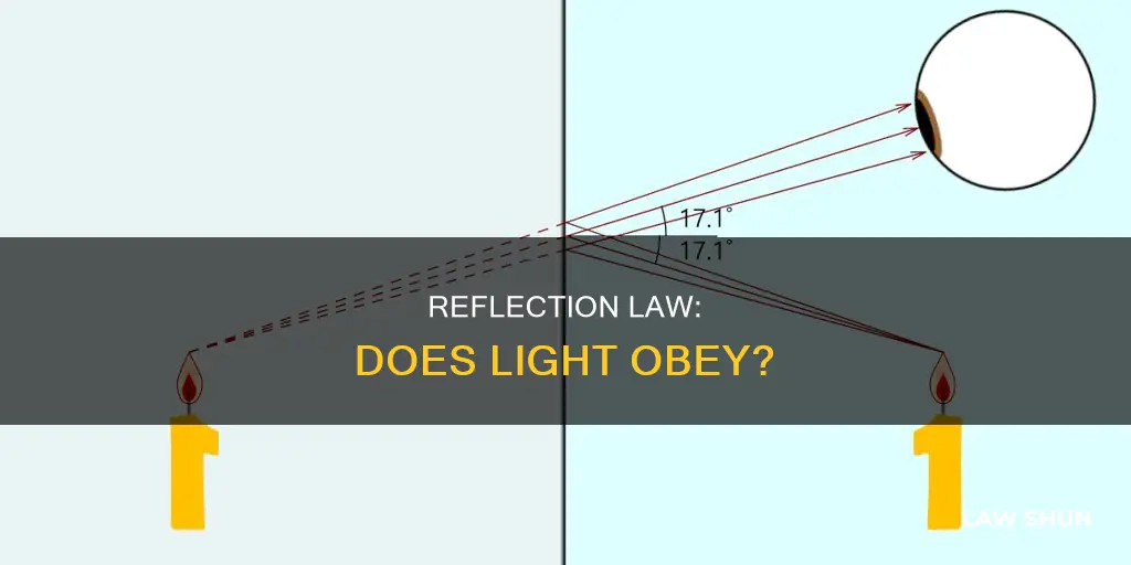 can you say that light obeys the law of reflection