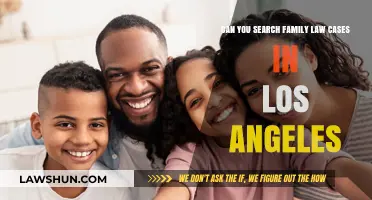 Finding Family Law Cases in LA