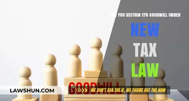 Goodwill and Section 179: New Tax Law Changes