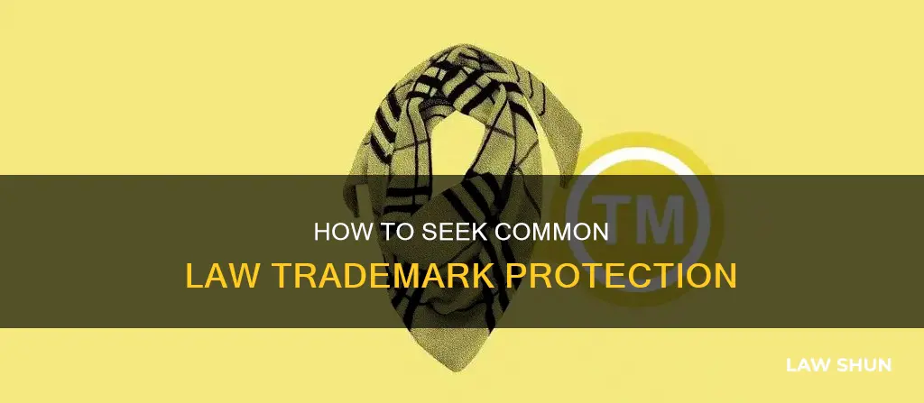 can you seek common law confusion with ustpo