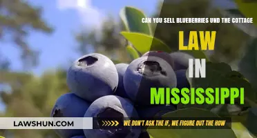 Blueberries and Cottage Law in Mississippi: What's Allowed?