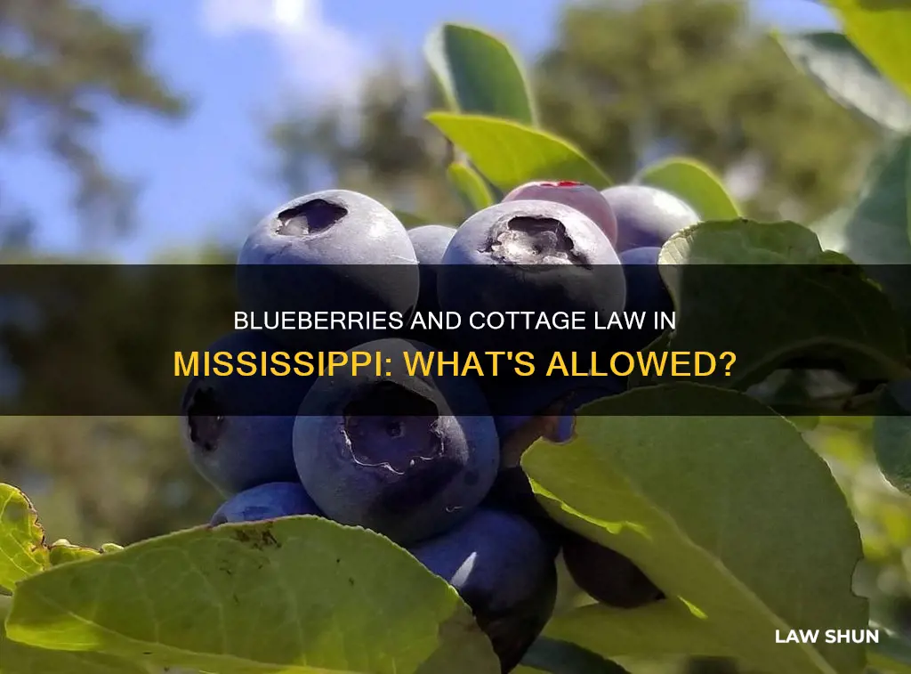 can you sell blueberries und the cottage law in mississippi