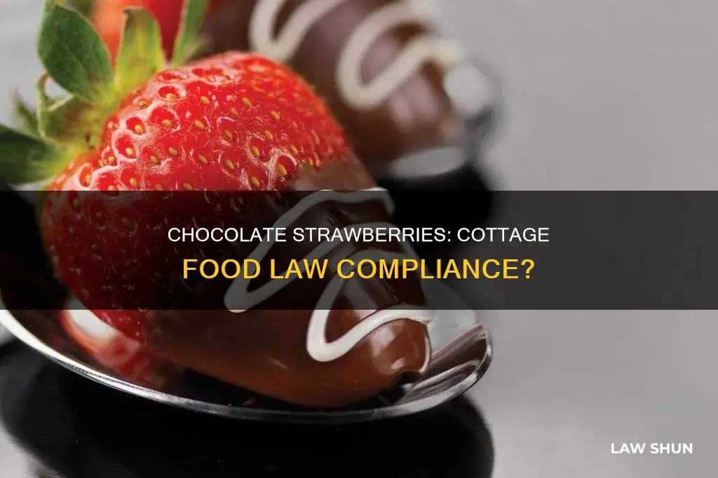 can you sell chocolate covered strawberries under cottage food law