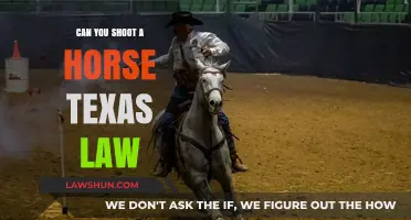 Texas Horse Shooting: What's the Law?