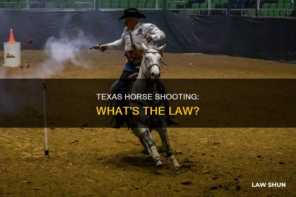 can you shoot a horse texas law