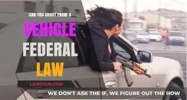 Vehicle Shootings: Federal Law and You