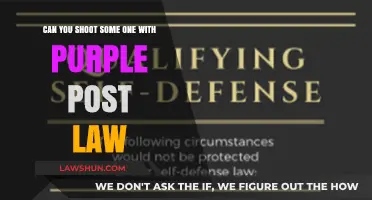What Purple Post Law Means for Gun Owners