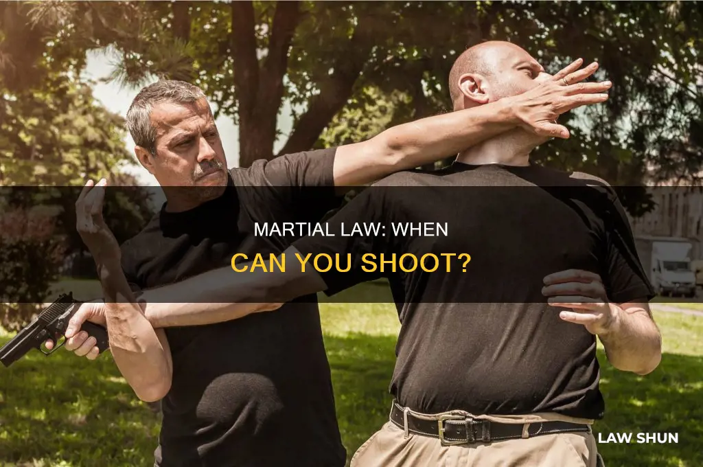 can you shoot someone during martial law