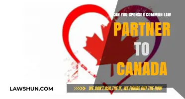Sponsoring Your Common-Law Partner to Canada: What You Need to Know