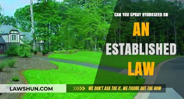 Spraying Hydroseed on an Established Lawn: Is It Possible?