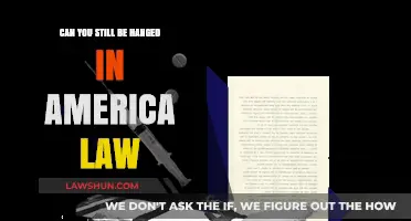 Capital Punishment: Hanging in Modern America