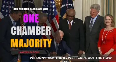 How One Chamber Can Still Pass Laws