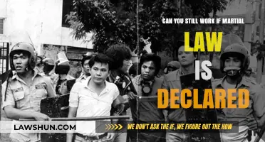 Martial Law: Work or No Work?