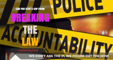 Cops and the Law: Who Watches the Watchers?