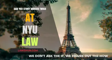 Studying Abroad Twice: NYU Law's Unique Offering